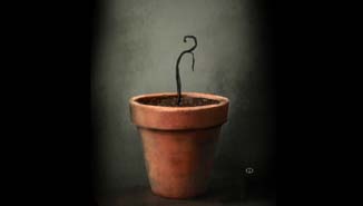 Une plante carnivore en pot.